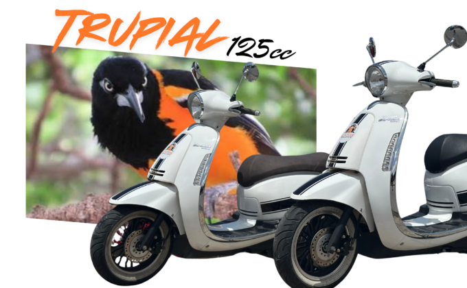 125cc Scooter
