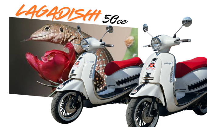 50cc Scooter