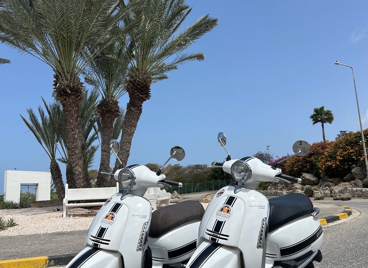 Scooters under palm trees