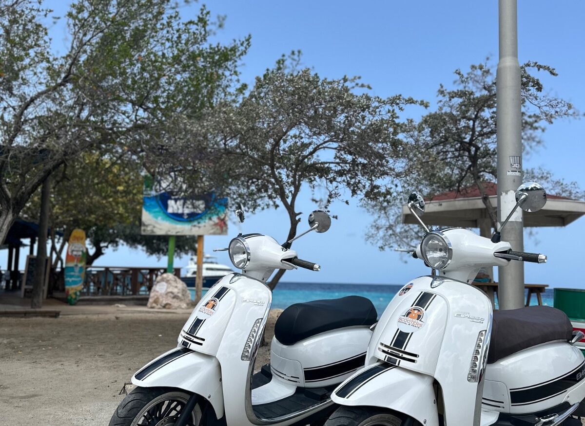 Two scooters on a flowering road
